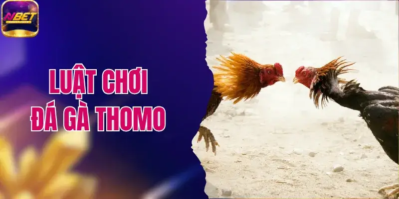 Luật Chơi Đá Gà Thomo 2026 Và Các Quy Định Cần Biết 1 Luật Chơi Đá Gà Thomo 2026 Và Các Quy Định Cần Biết